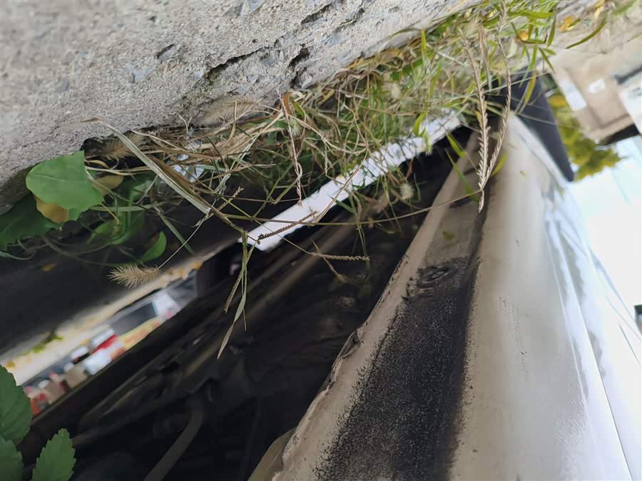 Kia Forte Koup 2014 car image #23