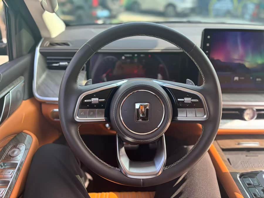 Tank 500 New Energy 2024 car image #23