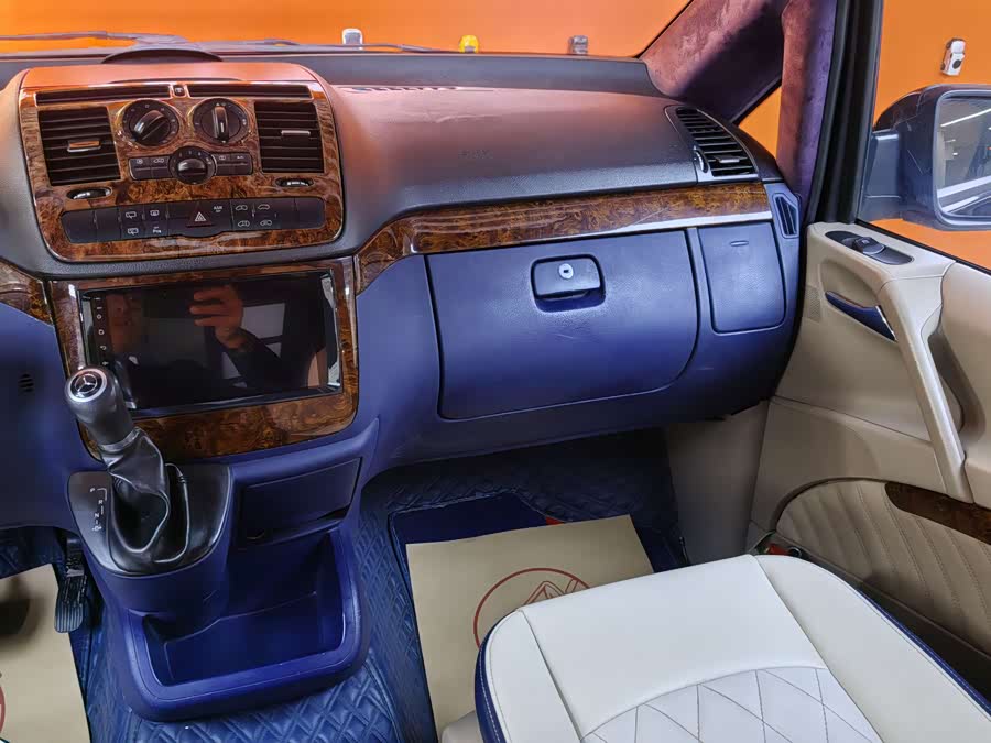 Mercedes-Benz Viano 2012 imagen de coche #23