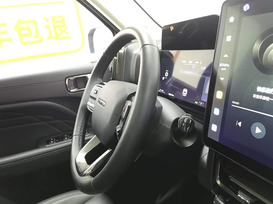 Haval Raptor New Energy 2023 car image #23