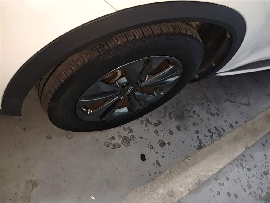 Kaiyi Showjet Pro 2021 #23 Kaiyi Showjet Pro 2021 car image #23