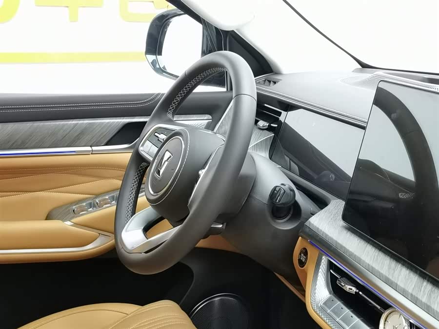 Tank 500 New Energy 2025 immagine di auto #23