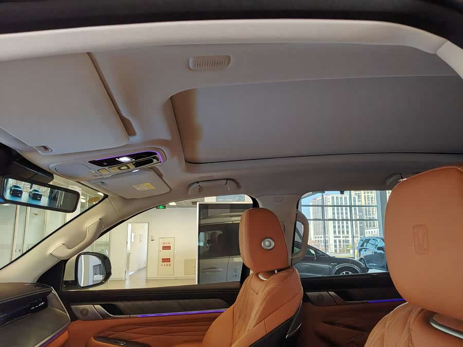 Tank 500 New Energy 2024 immagine di auto #23