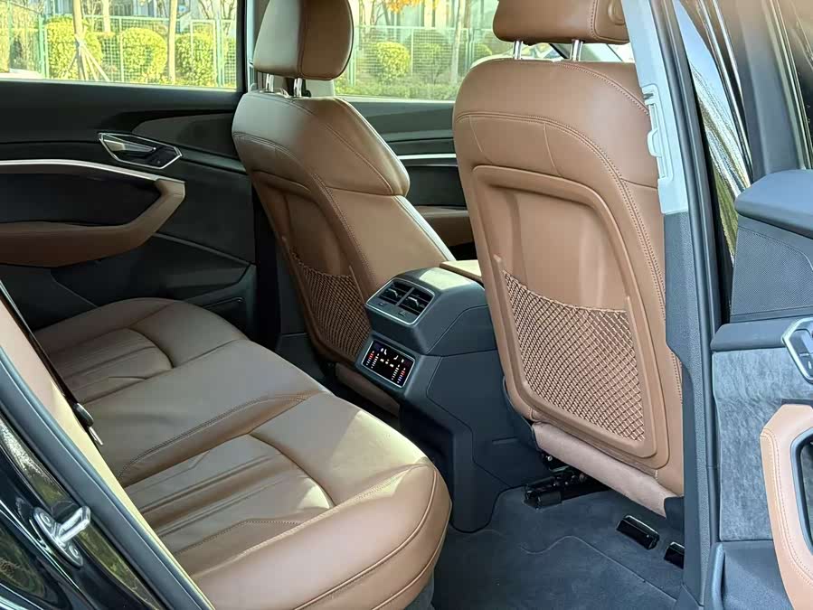 Audi e-tron (Imported) 2022 car image #23