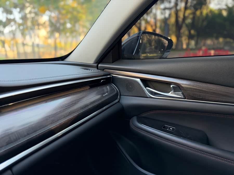 GAC Trumpchi GA8 2020 #23 GAC Trumpchi GA8 2020 car image #23