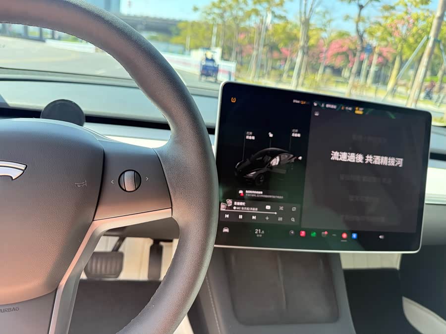 Tesla Model 3 2021 image de voiture #23