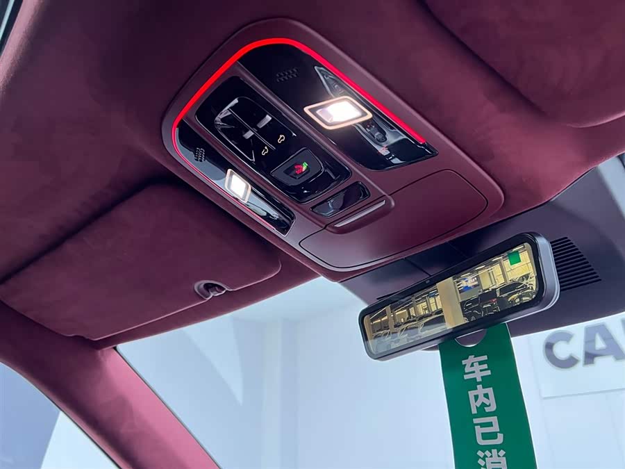 Tank 700 New Energy 2024 #23 Tank 700 New Energy 2024 imagen de coche #23