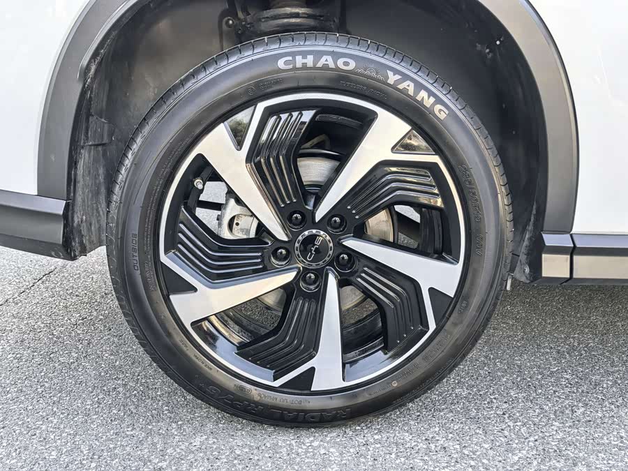 BYD Sea Lion 05 DM-i 2025 car image #23