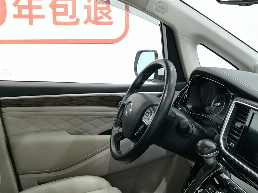 GAC Trumpchi M8 2020 immagine di auto #23