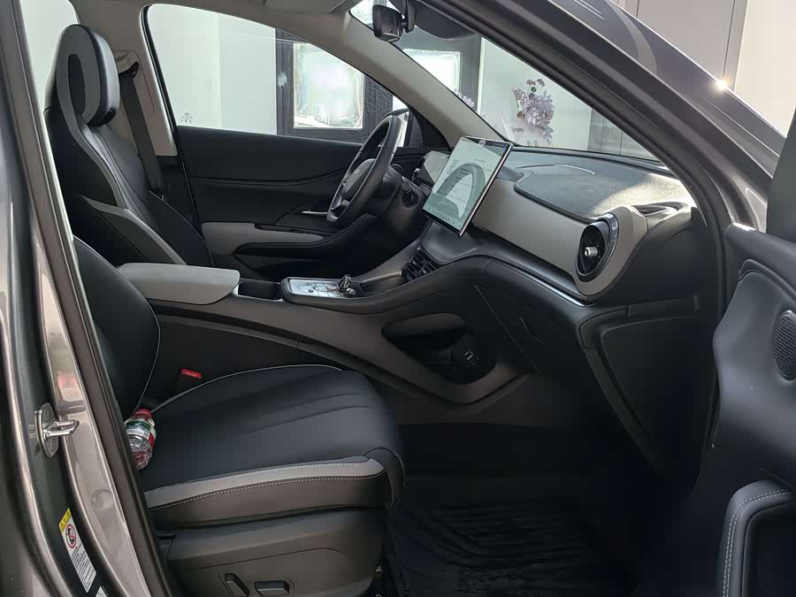 BYD Sea Lion 05 DM-i 2025 car image #23