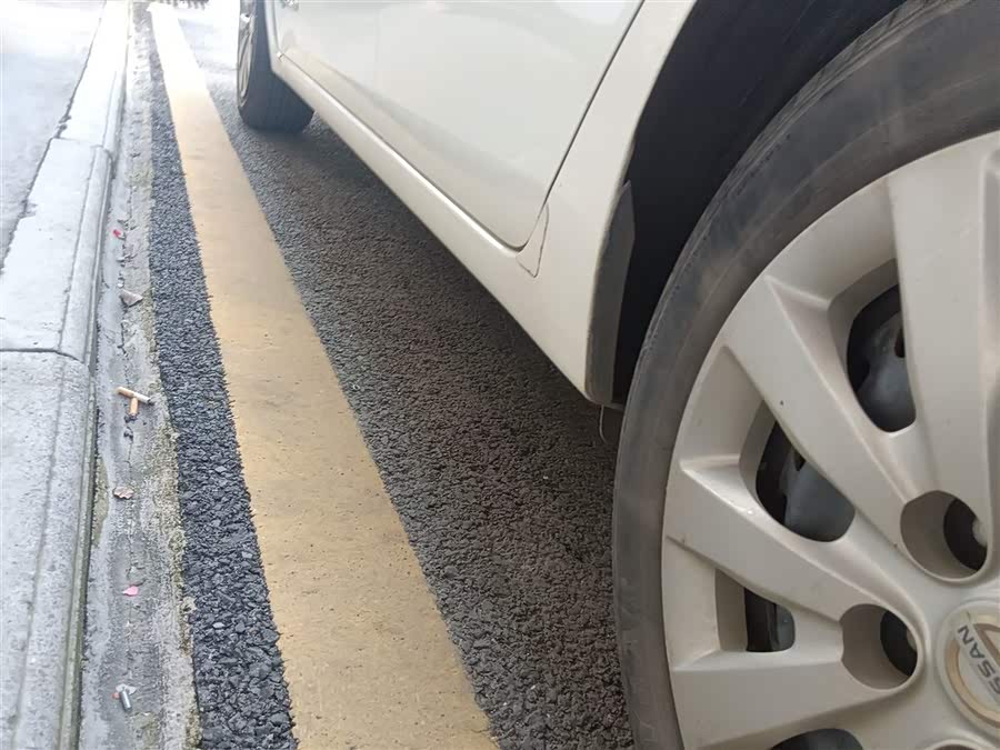 日产 轩逸·纯电 2019 汽车图片 #23