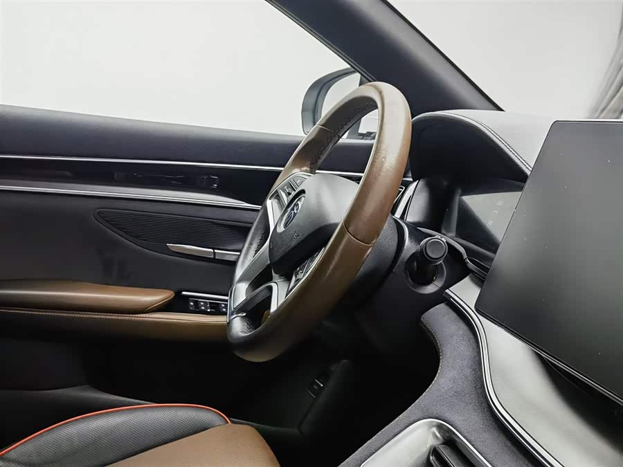 BYD Song Plus 2020 #23 BYD Song Plus 2020 immagine di auto #23