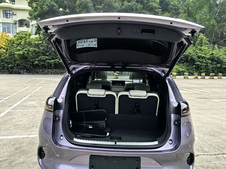 Denza X 2020 car image #23