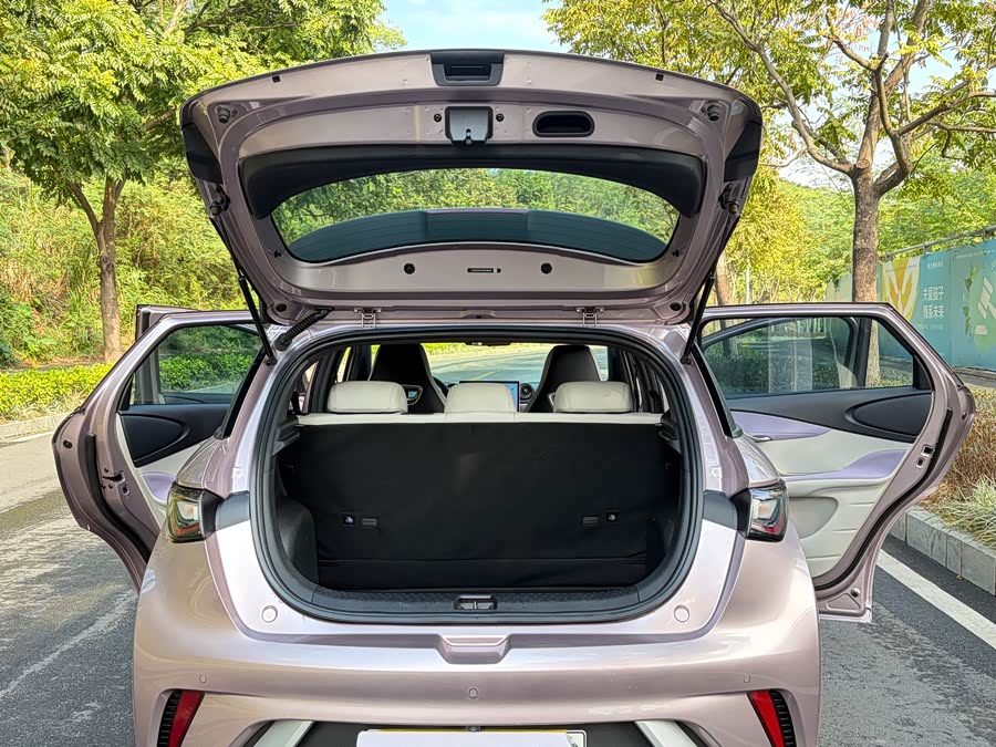 比亚迪 海豚 2022 汽车图片 #23