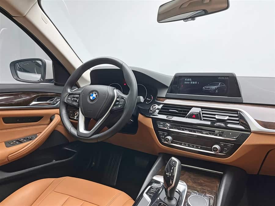 BMW 5 Series 2017 car image #23