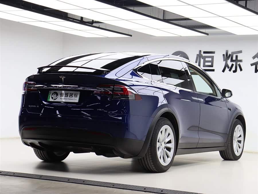 Tesla Model X 2017 car image #23