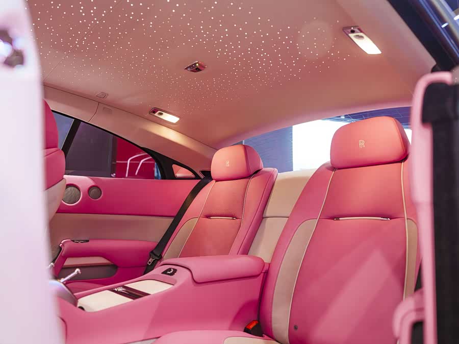 Denza Wraith 2023 car image #23