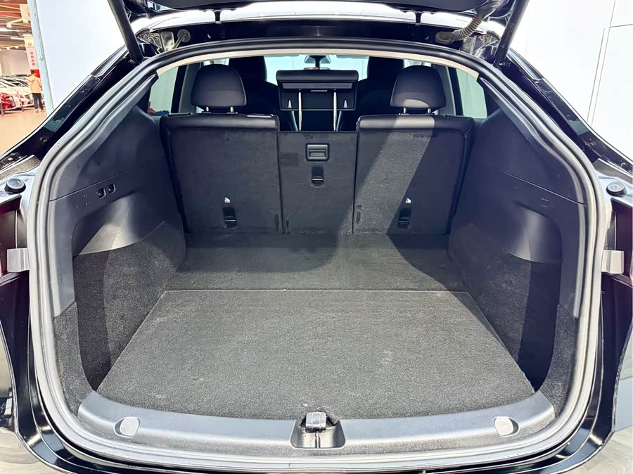 Tesla Model Y 2021 car image #23