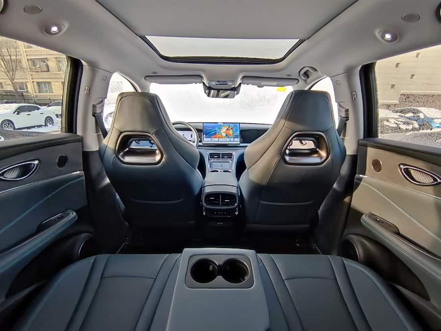 BYD Sea Lion 07 DM-i 2025 car image #23