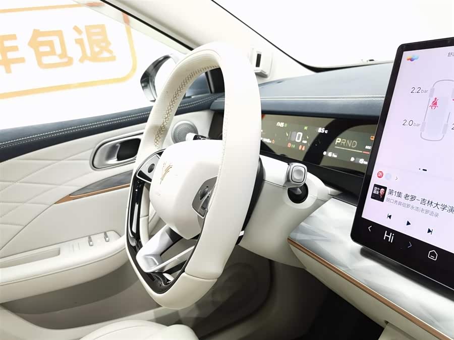 Neta L 2024 imagen de coche #23