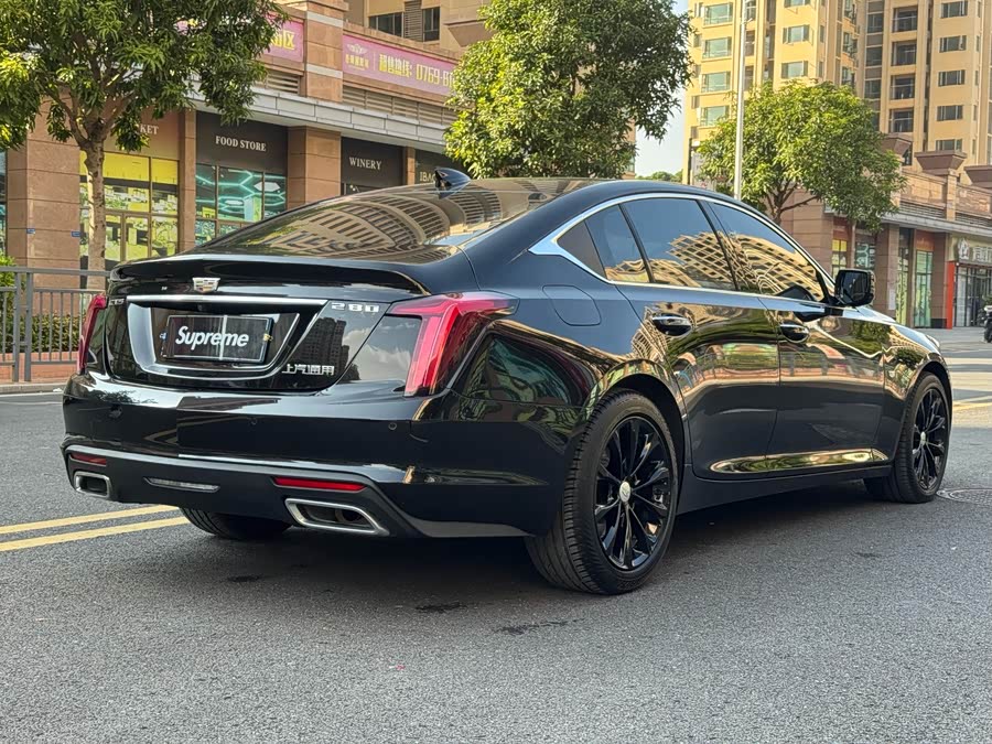 2020 #23 2020 car image #23