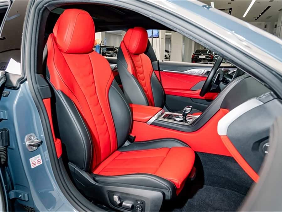 BMW 8 Series 2021 car image #23