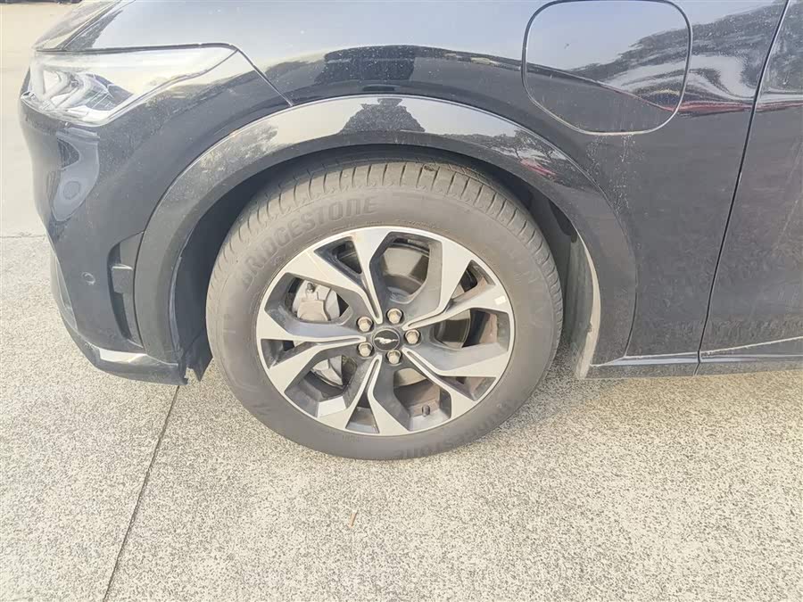 Ford Mustang Mach-E 2022 car image #23