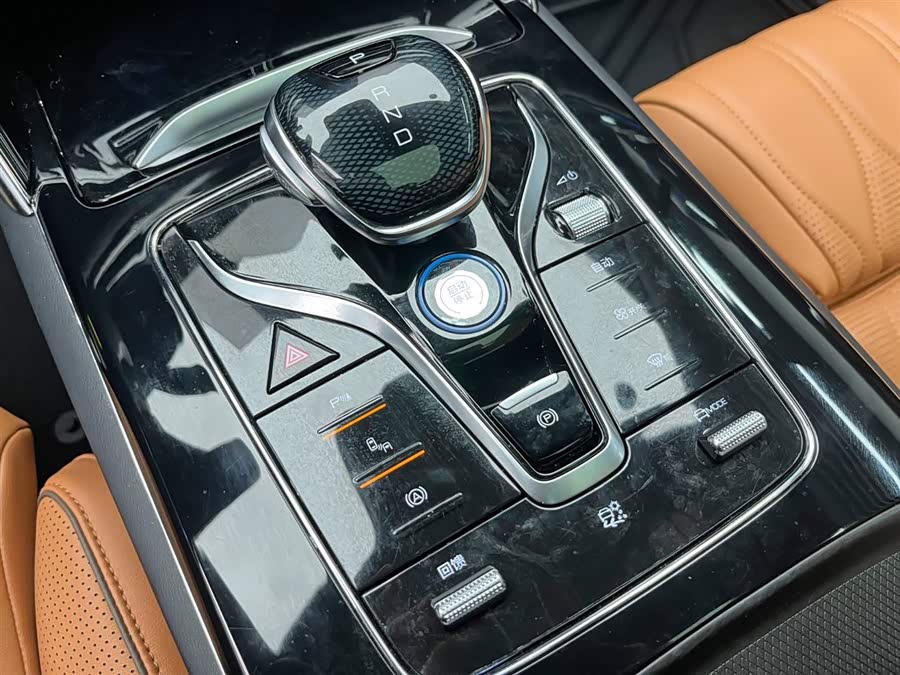 BYD Tang New Energy 2022 immagine di auto #23