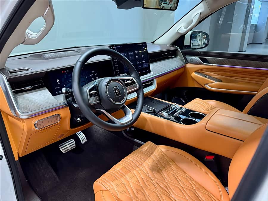 Tank 500 New Energy 2025 car image #23