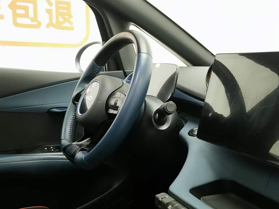 BYD Dolphin 2023 car image #23