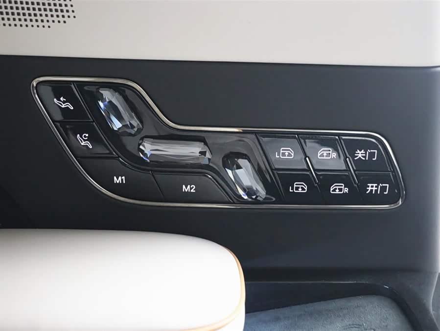 极氪 极氪009 2024 汽车图片 #23