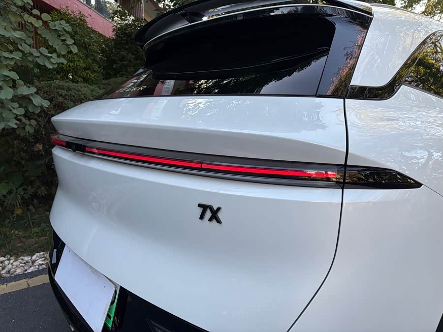 极氪 极氪7X 2024 汽车图片 #23