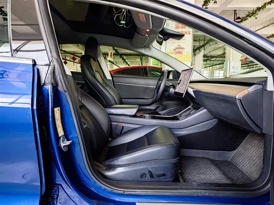 Tesla Model 3 2020 #23 Tesla Model 3 2020 car image #23