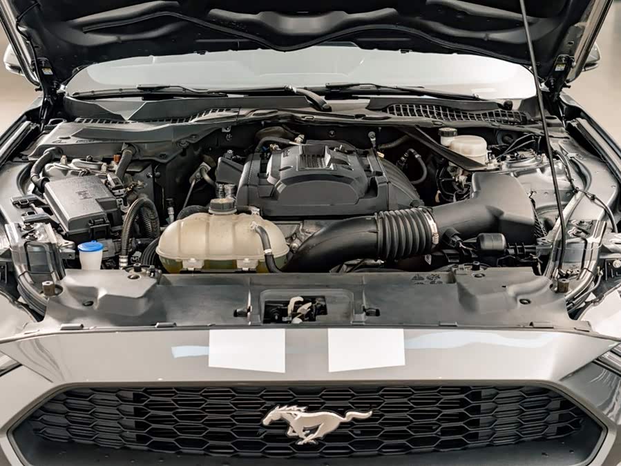 Ford Mustang 2023 car image #23