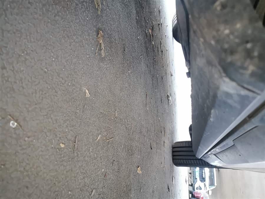 GAC Trumpchi Xiangwang S7 2025 car image #23