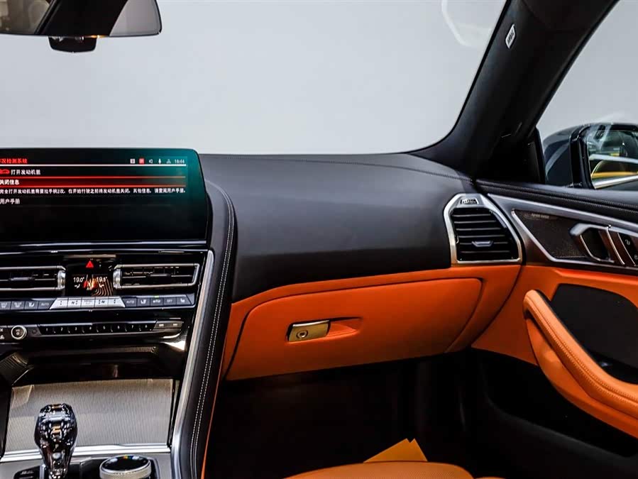 BMW 8 Series 2023 immagine di auto #23