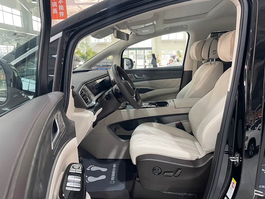 Denza D9 2025 imagen de coche #23