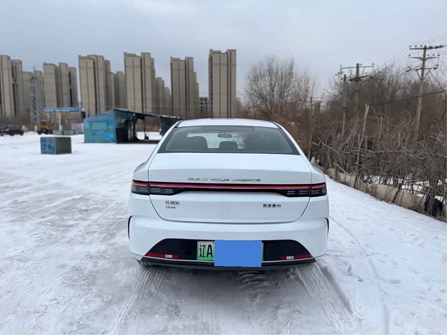 比亚迪 驱逐舰05 2024 汽车图片 #23