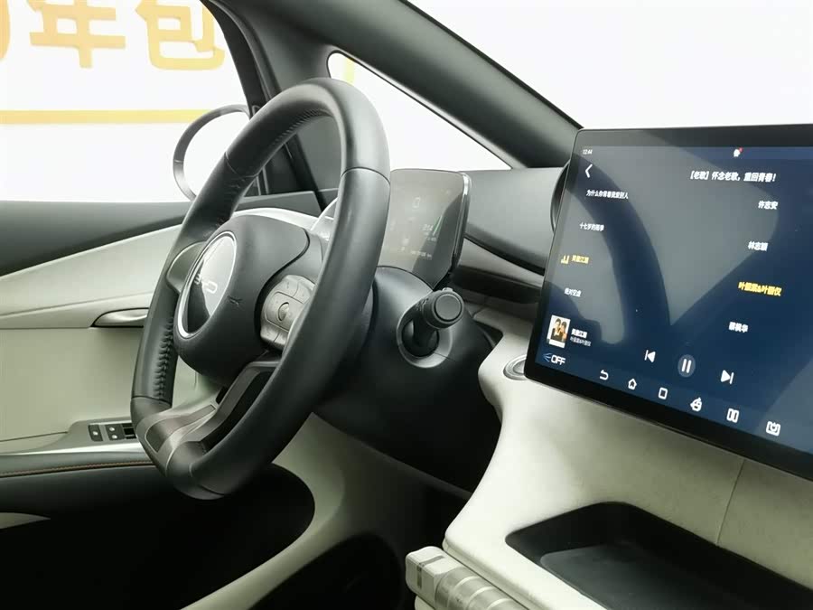 BYD Dolphin 2022 car image #23