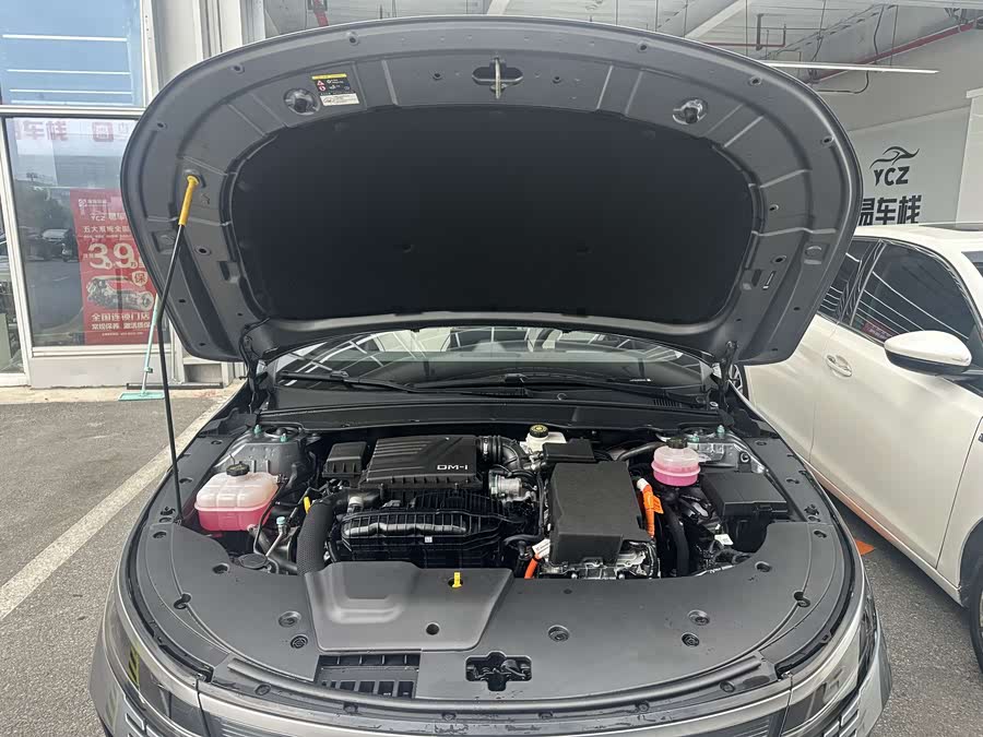 BYD Destroyer 05 2024 car image #23