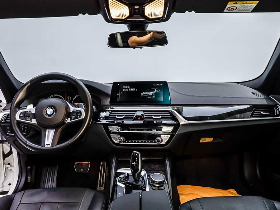 BMW 5 Series 2019 car image #23