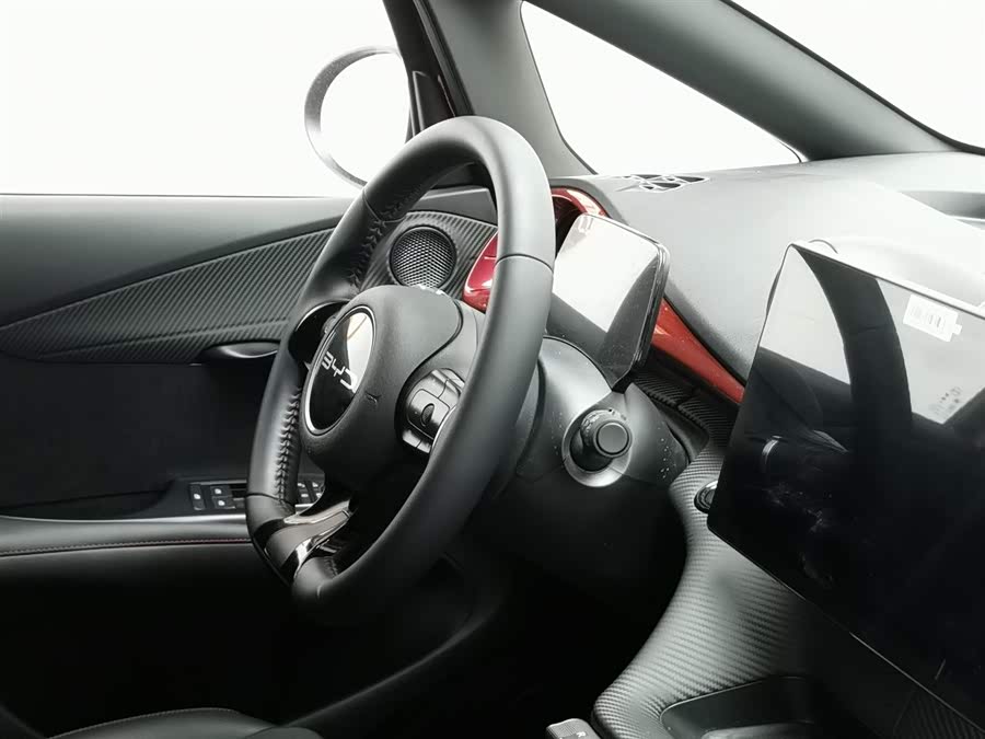 BYD Dolphin 2024 immagine di auto #23