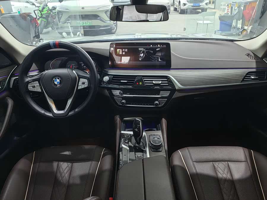 BMW 5 Series 2021 car image #23