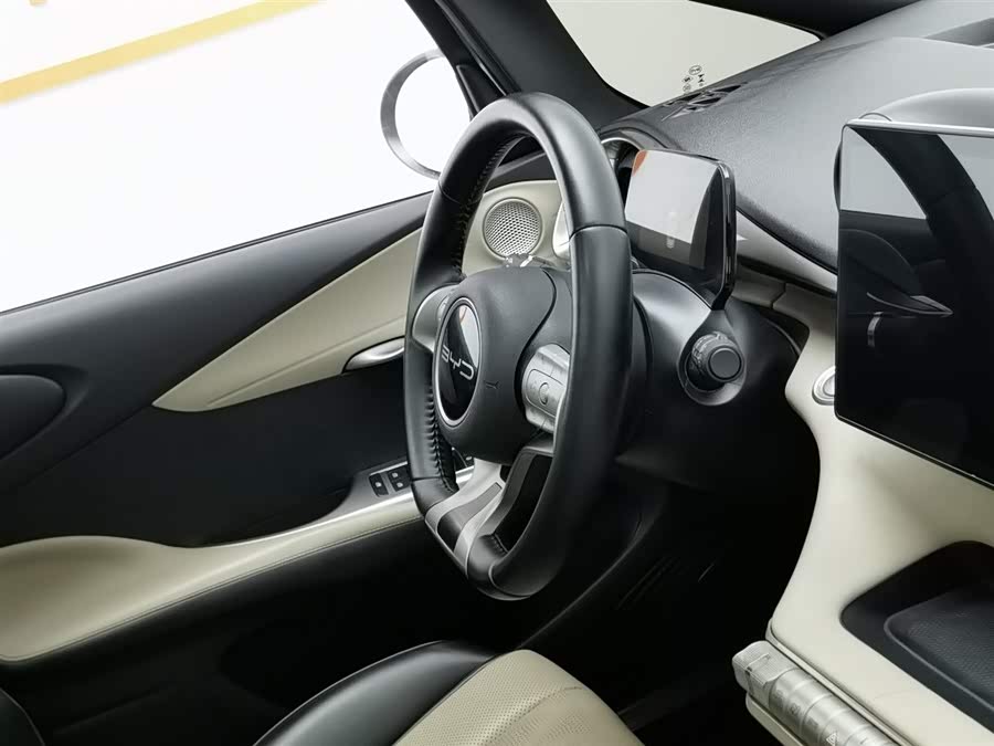 BYD Dolphin 2023 car image #23