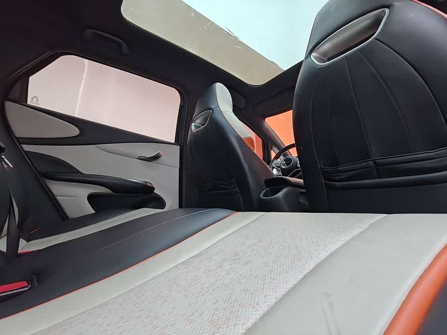 BYD Dolphin 2022 car image #23