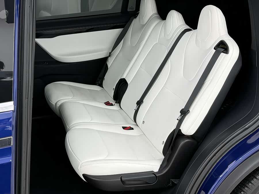 特斯拉 Model X 2019 汽车图片 #23