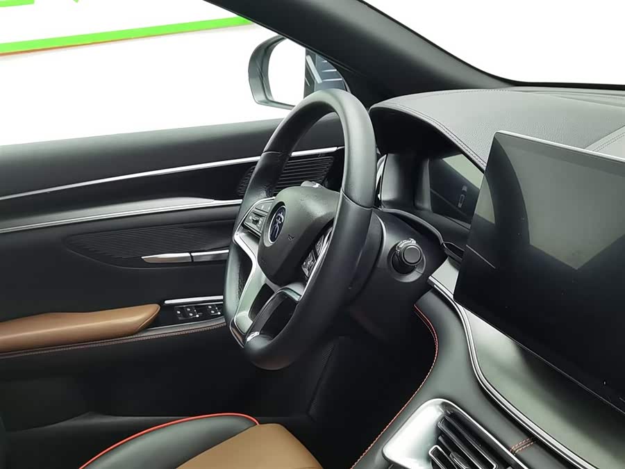 BYD Song Plus 2021 immagine di auto #23