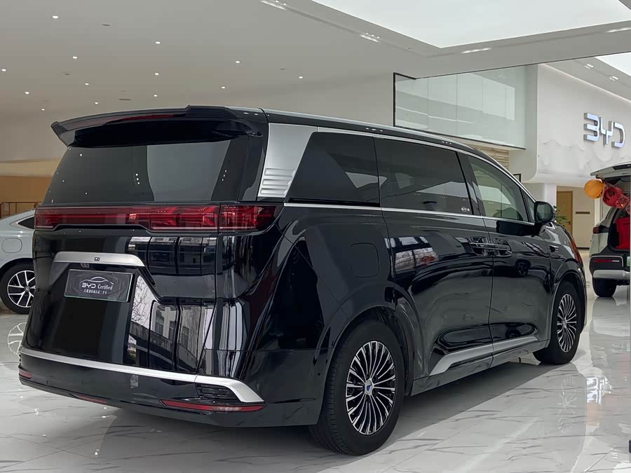 Denza D9 2024 car image #23