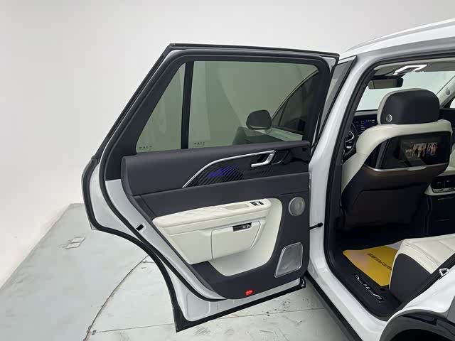 HongQi E-HS9 2023 car image #23