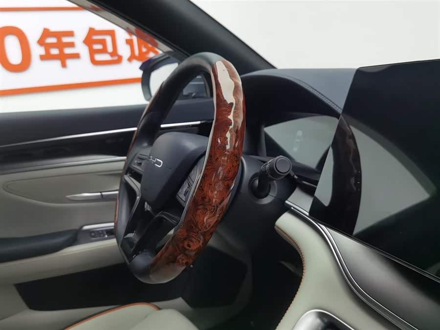 BYD Song Plus New Energy 2024 car image #23